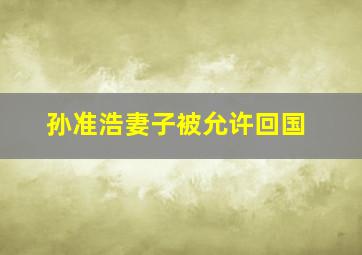 孙准浩妻子被允许回国