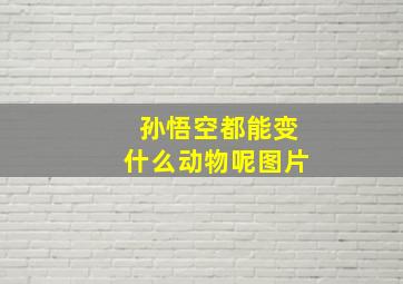 孙悟空都能变什么动物呢图片