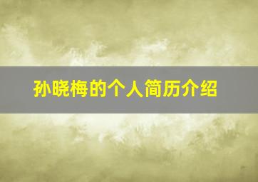 孙晓梅的个人简历介绍