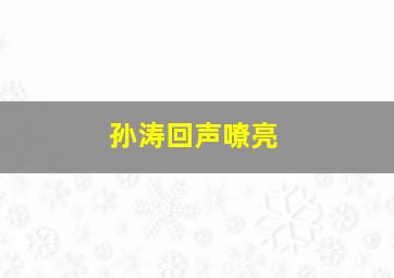 孙涛回声嘹亮