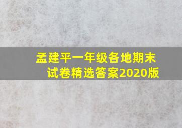 孟建平一年级各地期末试卷精选答案2020版