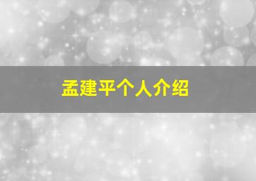 孟建平个人介绍