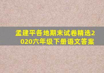 孟建平各地期末试卷精选2020六年级下册语文答案