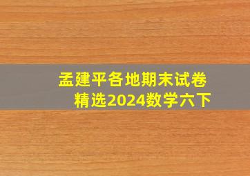 孟建平各地期末试卷精选2024数学六下