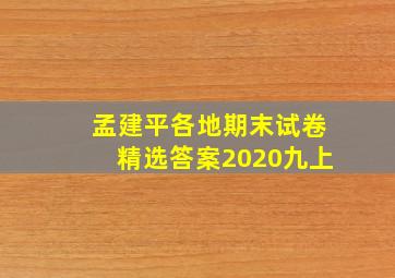 孟建平各地期末试卷精选答案2020九上