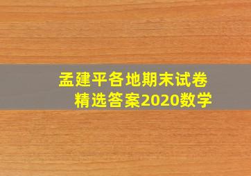 孟建平各地期末试卷精选答案2020数学