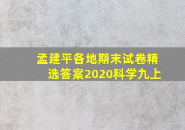 孟建平各地期末试卷精选答案2020科学九上