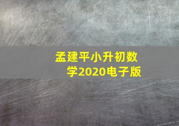 孟建平小升初数学2020电子版