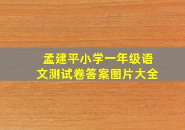 孟建平小学一年级语文测试卷答案图片大全