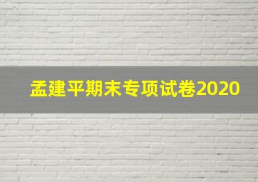 孟建平期末专项试卷2020