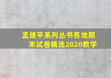 孟建平系列丛书各地期末试卷精选2020数学