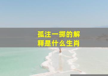 孤注一掷的解释是什么生肖