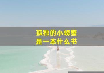 孤独的小螃蟹是一本什么书