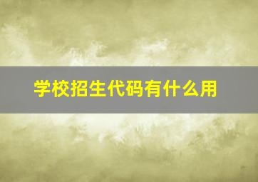 学校招生代码有什么用