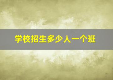 学校招生多少人一个班