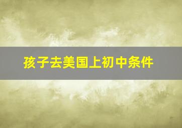 孩子去美国上初中条件