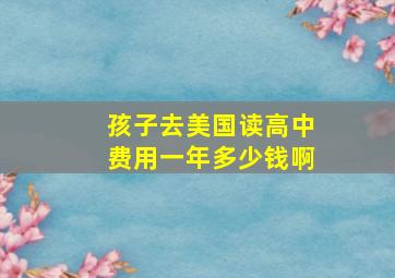 孩子去美国读高中费用一年多少钱啊