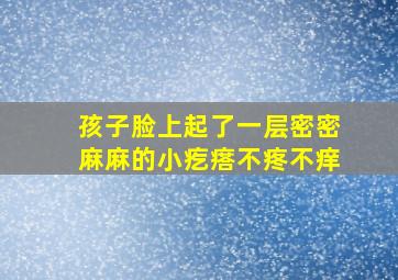 孩子脸上起了一层密密麻麻的小疙瘩不疼不痒