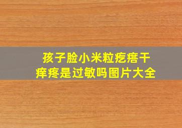 孩子脸小米粒疙瘩干痒疼是过敏吗图片大全