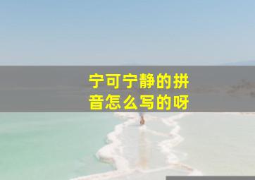 宁可宁静的拼音怎么写的呀