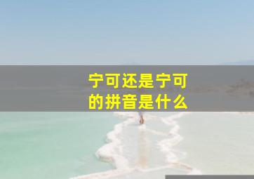 宁可还是宁可的拼音是什么