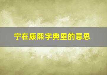 宁在康熙字典里的意思