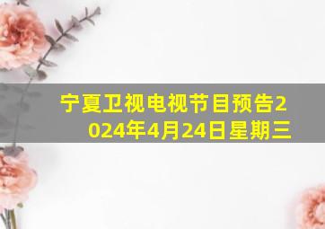 宁夏卫视电视节目预告2024年4月24日星期三