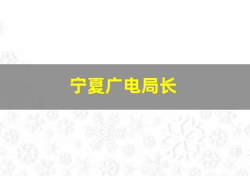 宁夏广电局长