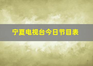 宁夏电视台今日节目表