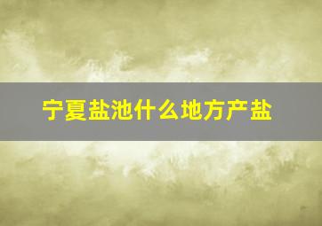 宁夏盐池什么地方产盐