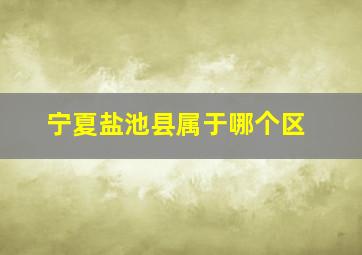 宁夏盐池县属于哪个区