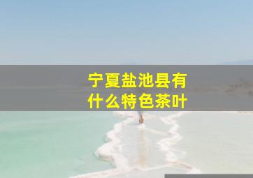 宁夏盐池县有什么特色茶叶