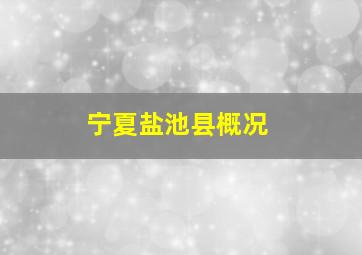 宁夏盐池县概况