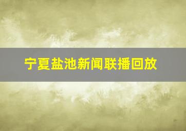 宁夏盐池新闻联播回放