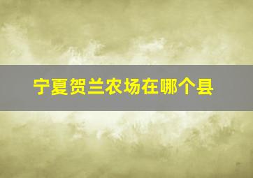 宁夏贺兰农场在哪个县