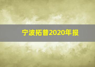 宁波拓普2020年报