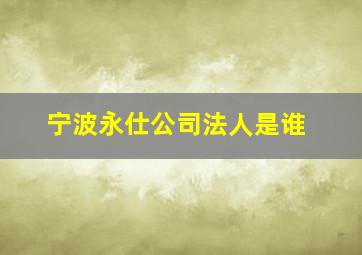 宁波永仕公司法人是谁