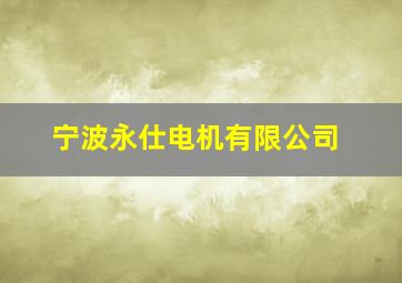 宁波永仕电机有限公司