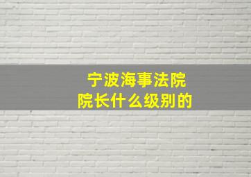 宁波海事法院院长什么级别的