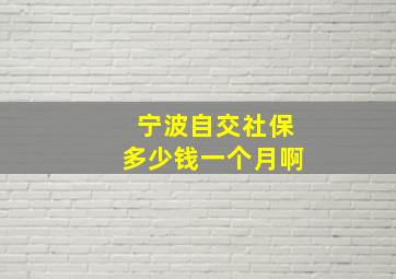 宁波自交社保多少钱一个月啊