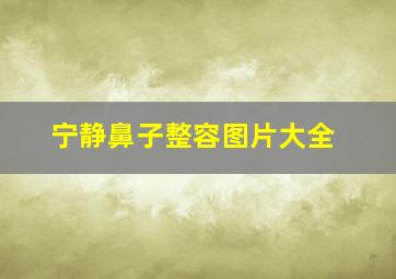 宁静鼻子整容图片大全