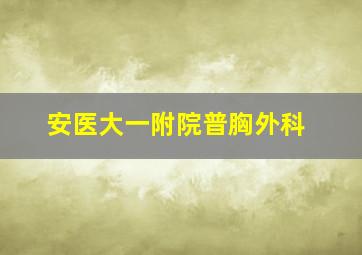 安医大一附院普胸外科