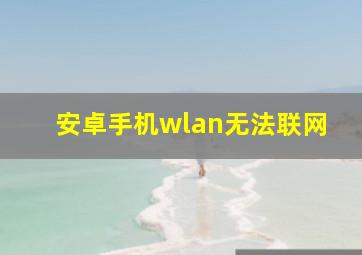 安卓手机wlan无法联网