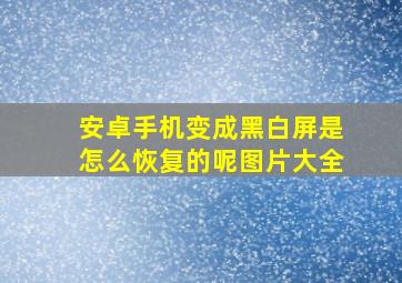 安卓手机变成黑白屏是怎么恢复的呢图片大全