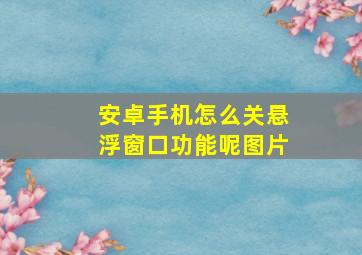 安卓手机怎么关悬浮窗口功能呢图片