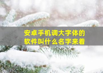 安卓手机调大字体的软件叫什么名字来着