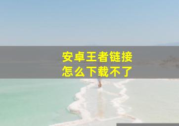 安卓王者链接怎么下载不了