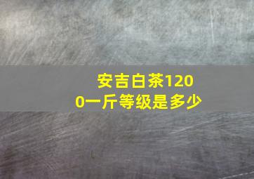 安吉白茶1200一斤等级是多少