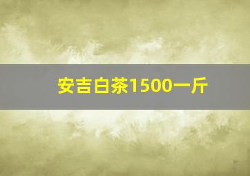 安吉白茶1500一斤