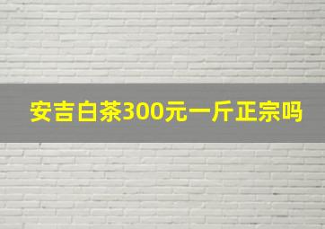 安吉白茶300元一斤正宗吗